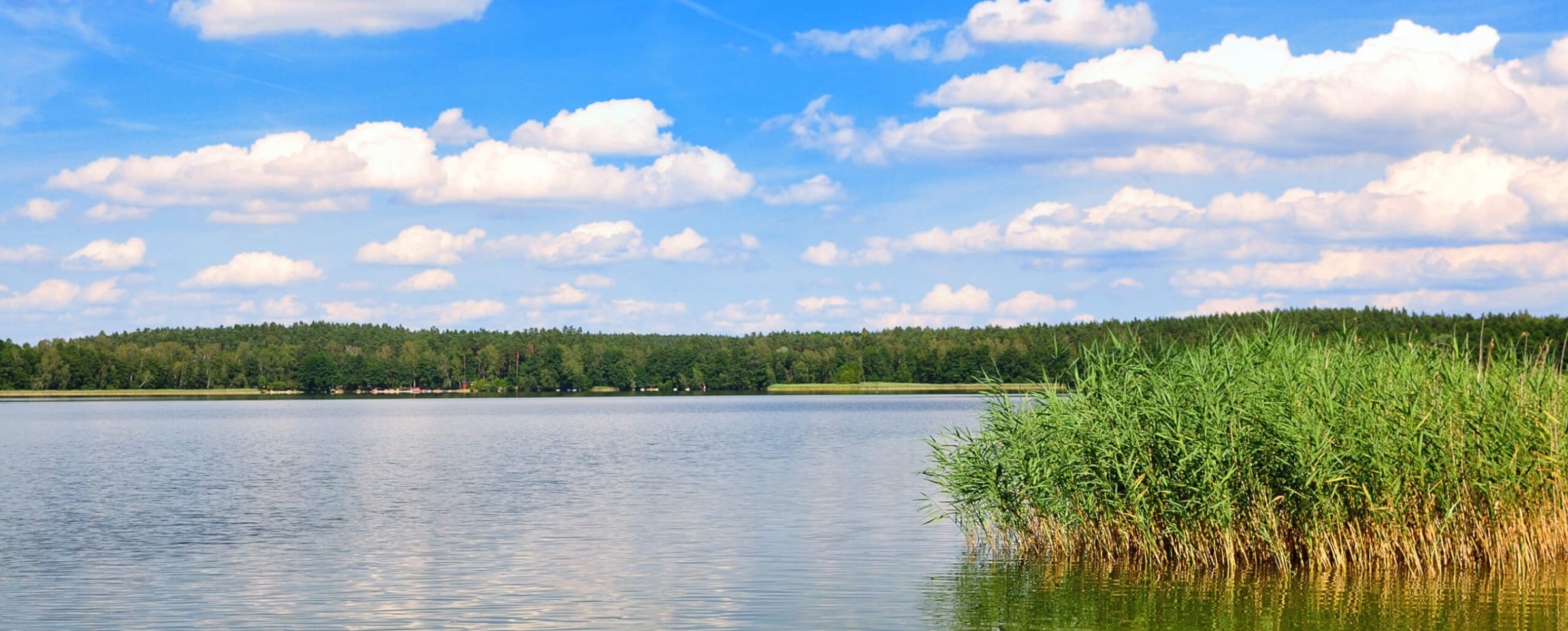 Skontaktuj się w sprawie działki