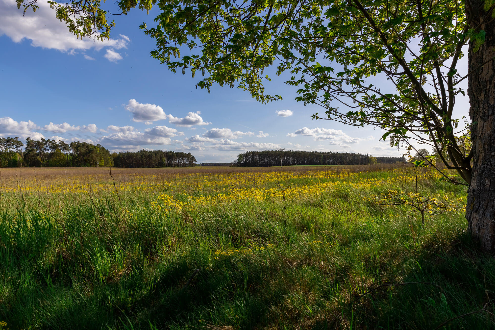 Spędzaj czas aktywnie
na własnych warunkach!